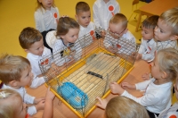 Zdjęcie: Wizyta jeżyków