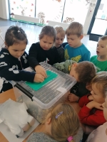 Zdjęcie: Góra grosza 2020/2021