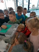 Zdjęcie: Góra grosza 2020/2021