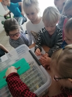 Zdjęcie: Góra grosza 2020/2021