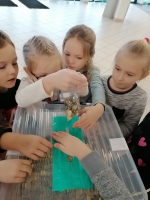 Zdjęcie: Góra grosza 2020/2021