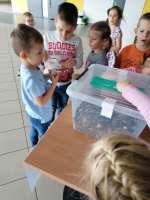 Zdjęcie: Góra grosza 2020/2021