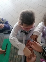 Zdjęcie: Góra grosza 2020/2021