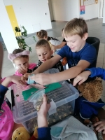 Zdjęcie: Góra grosza 2020/2021