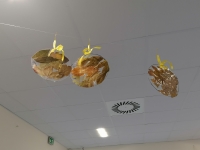 Zdjęcie: Nasze prace
