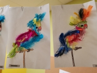 Zdjęcie: Papużki