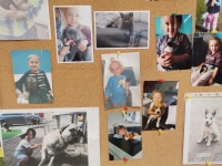 Zdjęcie: Papużki