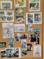 Zdjęcie: Papużki