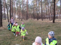 Zdjęcie: WYCIECZKA DO LASU