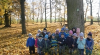 Zdjęcie: MOJA MAŁA OJCZYZNA