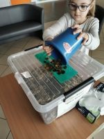 Zdjęcie: Akcje charytatywne
