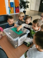 Zdjęcie: Akcje charytatywne