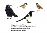 Zdjęcie: ZAJĘCIA ZDALNE -  3.02.21