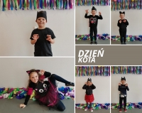Zdjęcie: Dzień kota