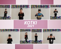 Zdjęcie: Dzień kota