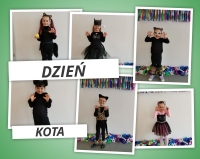 Zdjęcie: Dzień kota