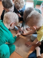 Zdjęcie: W świecie dinozaurów