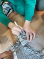 Zdjęcie: W świecie dinozaurów