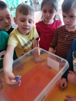 Zdjęcie: W świecie dinozaurów