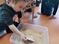 Zdjęcie: W świecie dinozaurów