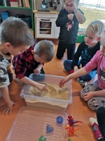 Zdjęcie: W świecie dinozaurów