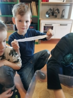 Zdjęcie: W świecie dinozaurów