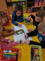 Zdjęcie: W świecie zwierząt