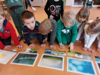 Zdjęcie: Pierwsze oznaki wiosny