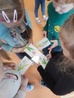 Zdjęcie: Pierwsze oznaki wiosny