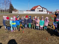 Zdjęcie: Powitanie wiosny