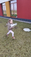Zdjęcie: Poszukiwanie zająca