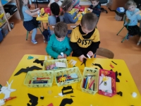 Zdjęcie: Jaskółka