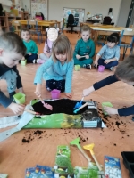 Zdjęcie: Zakładamy hodowlę roślin