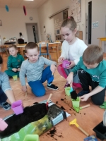 Zdjęcie: Zakładamy hodowlę roślin