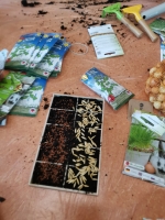 Zdjęcie: Zakładamy hodowlę roślin