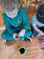 Zdjęcie: Zakładamy hodowlę roślin