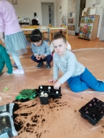 Zdjęcie: Zakładamy hodowlę roślin