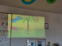 Zdjęcie: Zakładamy hodowlę roślin