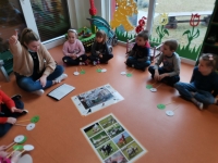 Zdjęcie: Czy to kwiat? czy to ptak?