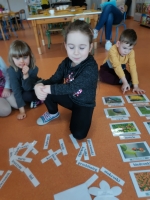 Zdjęcie: Czy to kwiat? czy to ptak?