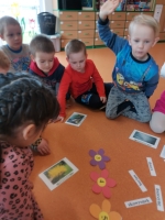 Zdjęcie: Czy to kwiat? czy to ptak?