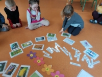 Zdjęcie: Czy to kwiat? czy to ptak?