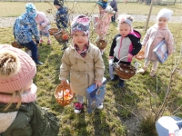 Zdjęcie: ZAJĄCZEK W PRZEDSZKOLU