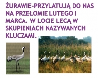 Zdjęcie: Środa, 07.04.2021r.