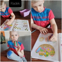 Zdjęcie: PRACUJEMY W DOMU - GALERIA ZDJĘĆ