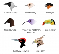 Zdjęcie: Piątek, 09.04.2021r.