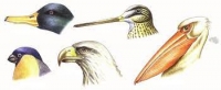 Zdjęcie: Piątek, 09.04.2021r.