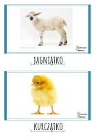Zdjęcie: Zajęcia online 09.04.21