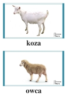 Zdjęcie: Zajęcia online 09.04.21
