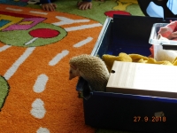 Zdjęcie: Spotkanie